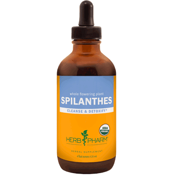 Herb Pharm Spilanthes 4 Oz - VitaHeals.com
