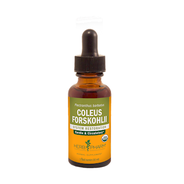 Herb Pharm Coleus Forskohlii 1 Oz 2 Pack - VitaHeals.com