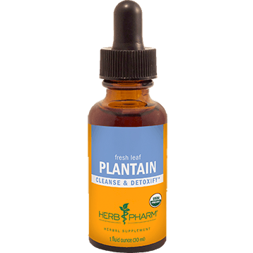 Herb Pharm Plantain 1 Oz 3 Pack - VitaHeals.com