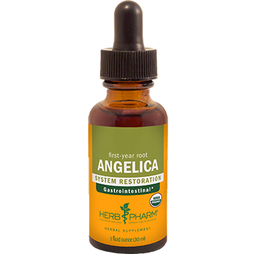 Herb Pharm Angelica 1 Oz 3 Pack - VitaHeals.com