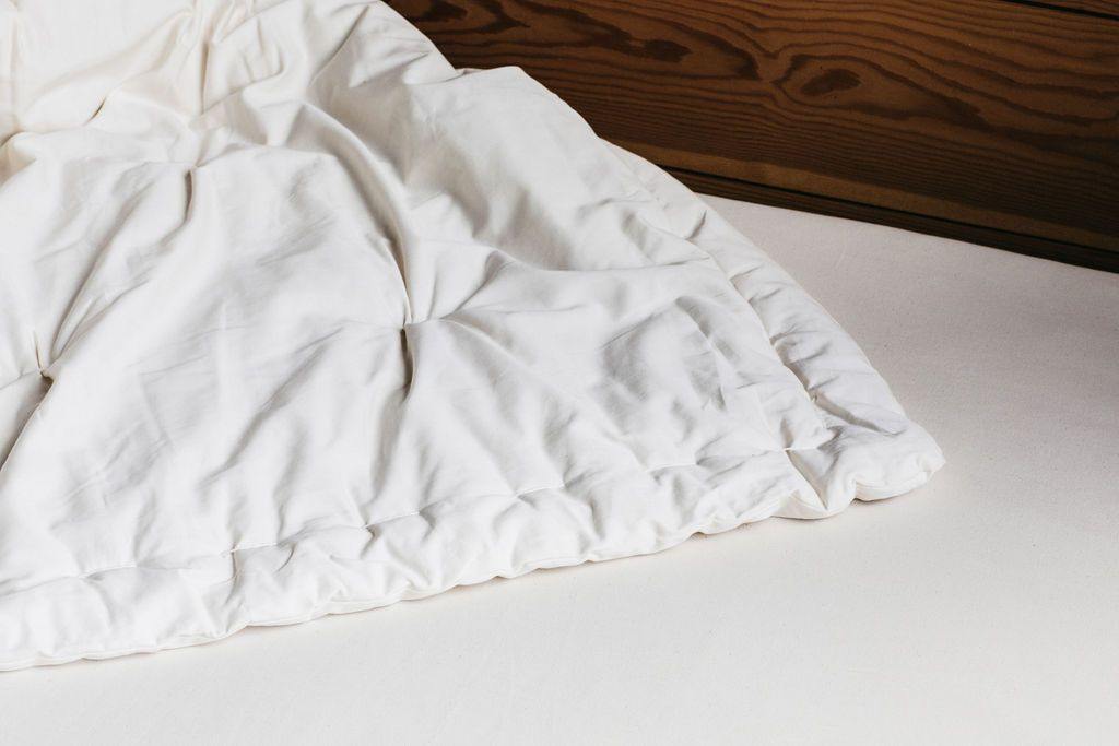 Holy Lamb Organics 100% Organic Wool Comforter - VitaHeals.com