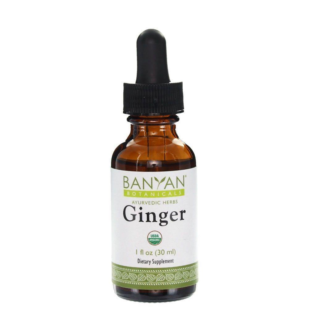 Banyan Botanicals Ginger Liquid Extract 1 Fl Oz 3 Pack - VitaHeals.com