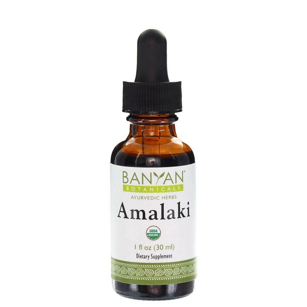 Banyan Botanicals Amalaki Liquid Extract 1 Fl Oz 3 Pack - VitaHeals.com