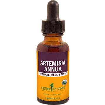 Herb Pharm Artemisia Annua 1 Oz 3 Pack - VitaHeals.com