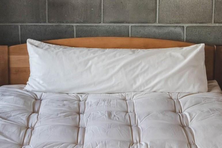 Organic Natural Body Pillows By Holy Lamb Organics - VitaHeals.com