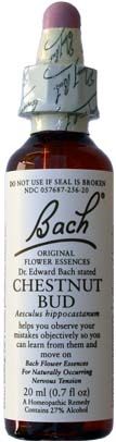 Bach Flower Essences Chestnut Bud 20ml