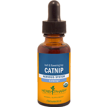 Herb Pharm Catnip 1 Oz 3 Pack - VitaHeals.com