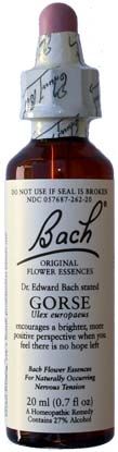 Bach Flower Essences Gorse 20ml