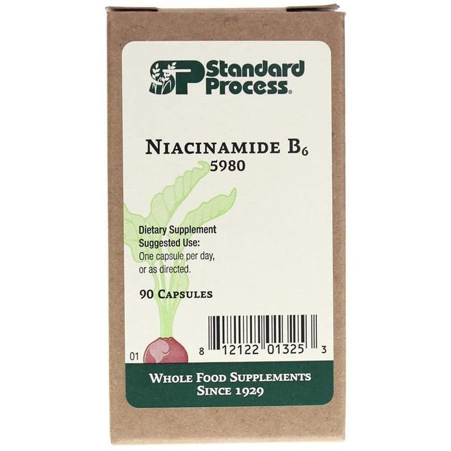 Standard Process Niacinamide B6 90 Capsules 2 Pack - VitaHeals.com