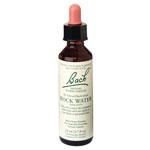 Bach Flower Essences Rock Water 20ml