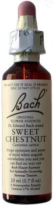 Bach Flower Essences Sweet Chestnut 20ml